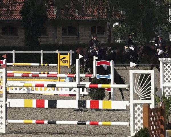 Reitturnier Bern 2020