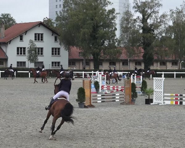 Reitturnier Bern 2020