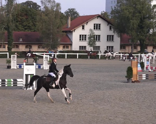 Reitturnier Bern 2020