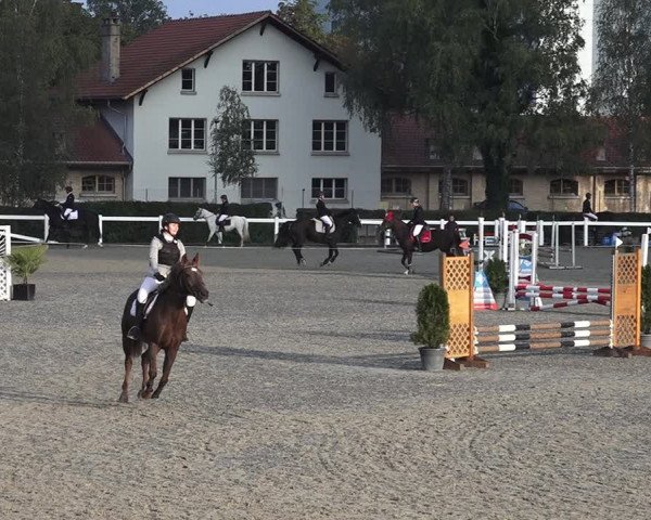 Reitturnier Bern 2020