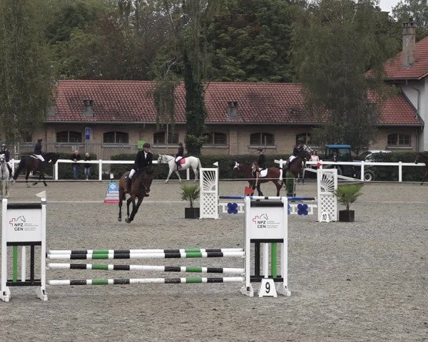 Reitturnier Bern 2020