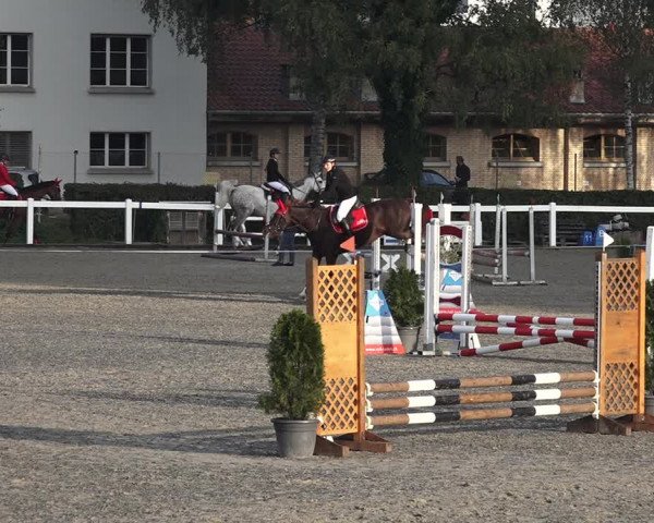 Reitturnier Bern 2020