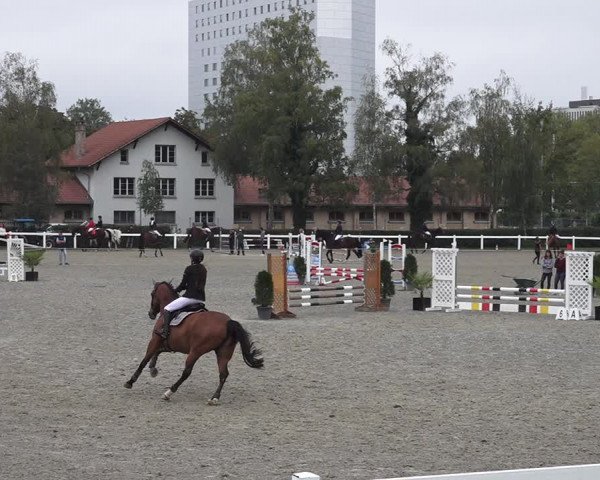 Reitturnier Bern 2020