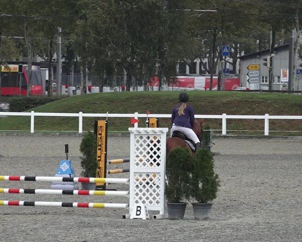 Reitturnier Bern 2020