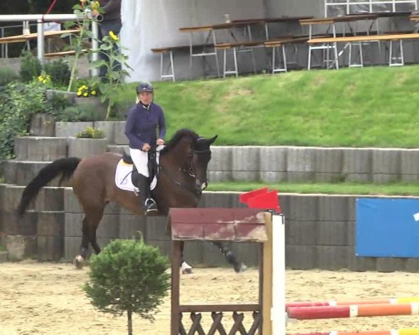 jumper Gräfensteiner (Zweibrücken, 2007, from Grafenstolz)