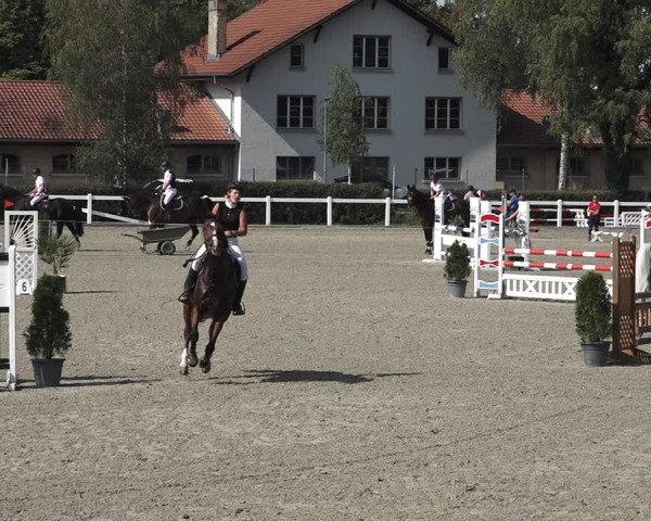 Reitturnier Bern 2020