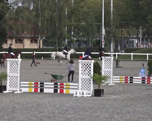 Reitturnier Bern 2020