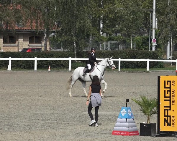 Reitturnier Bern 2020