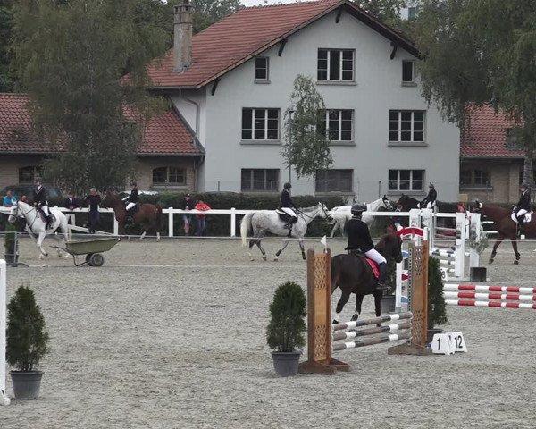 Reitturnier Bern 2020
