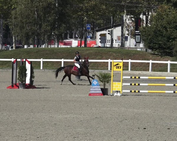 Reitturnier Bern 2020