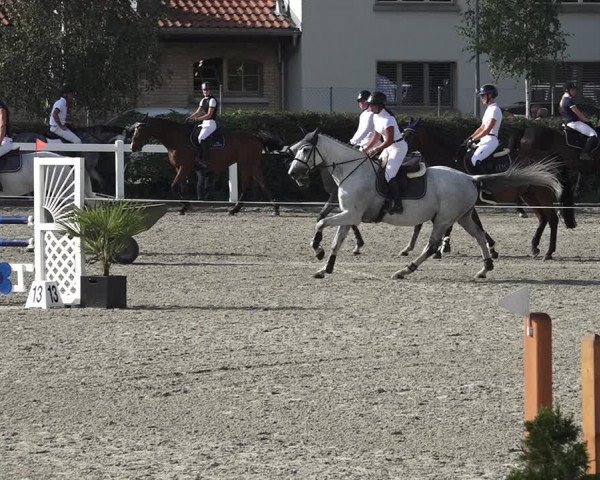 Reitturnier Bern 2020
