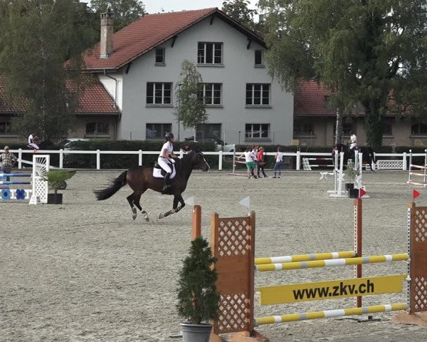 Reitturnier Bern 2020