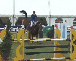 horse Saya des Chenes (KWPN (Royal Dutch Sporthorse), 2005)