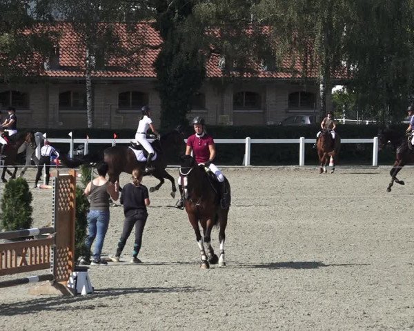 Reitturnier Bern 2020