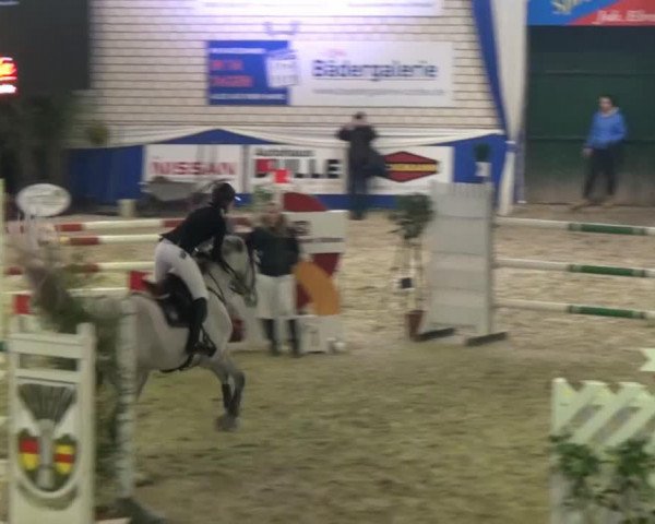 Springpferd Coleman 5 (KWPN (Niederländisches Warmblut), 2007, von Indorado)