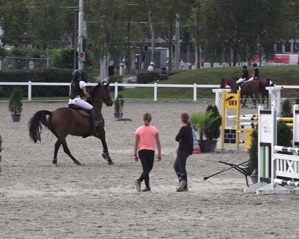 Reitturnier Bern 2020