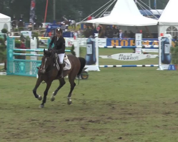Springpferd Pentagon 72 (Westfale, 1998, von Paradiso)