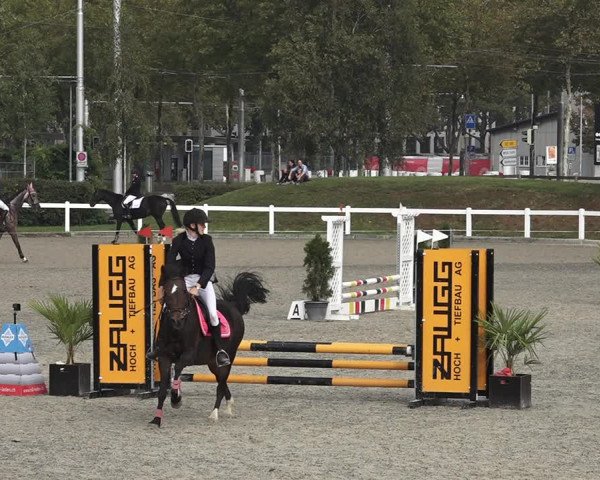 Reitturnier Bern 2020