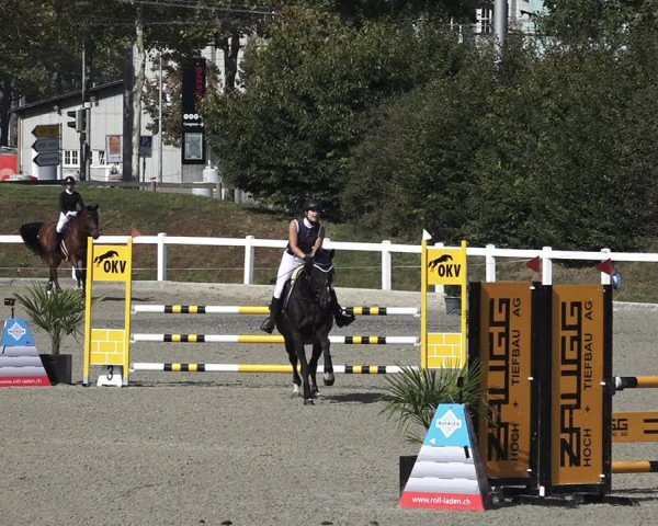 Reitturnier Bern 2020