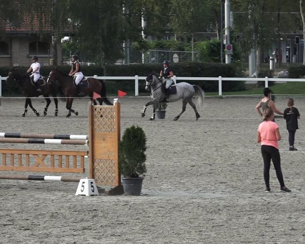 Reitturnier Bern 2020