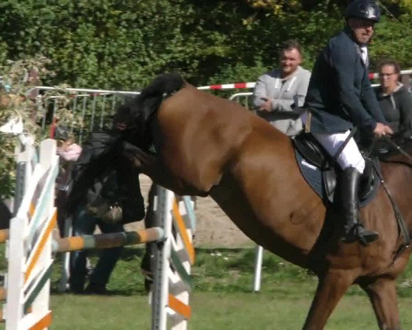 Reitturnier Wernigerode 2020