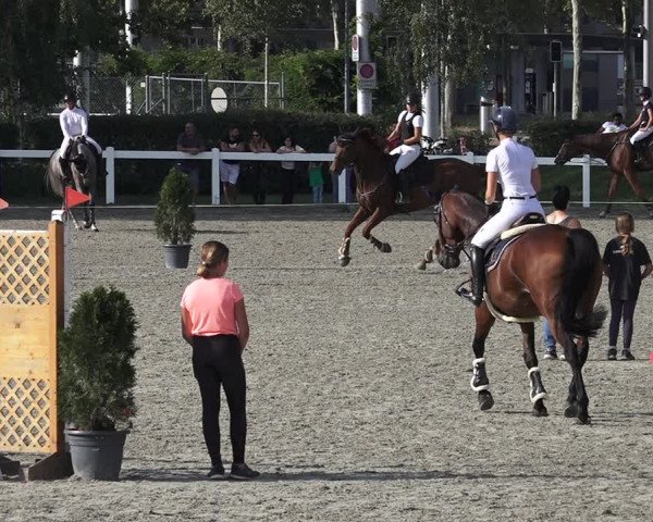 Reitturnier Bern 2020