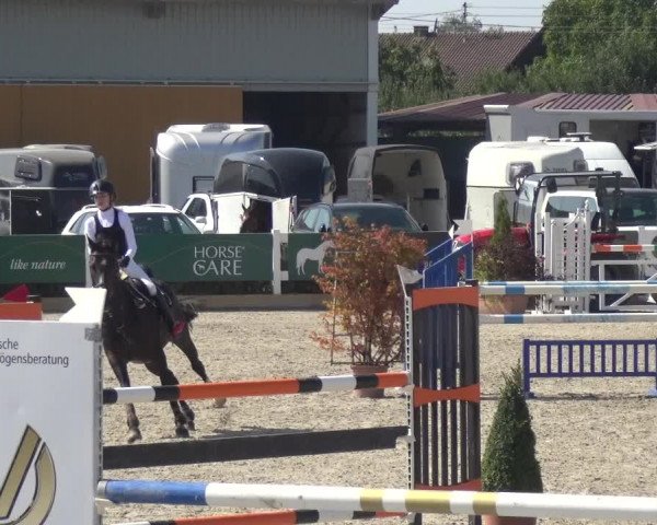 Rideturnering Sauldorf-Boll 2020