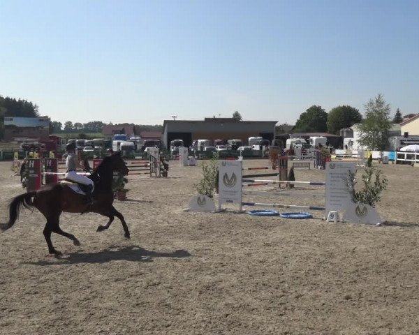 Reitturnier Sauldorf-Boll 2020