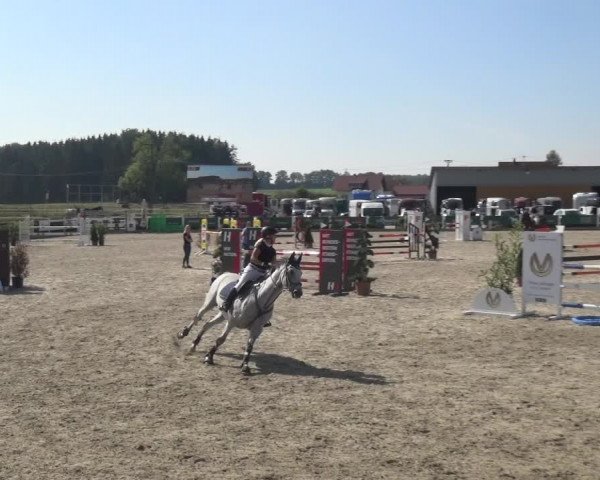 Reitturnier Sauldorf-Boll 2020