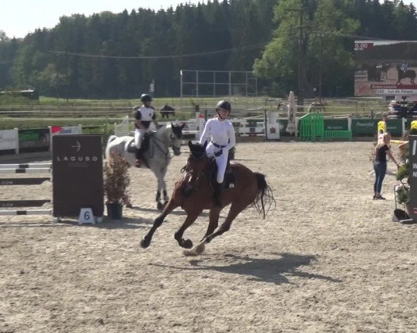 Reitturnier Sauldorf-Boll 2020