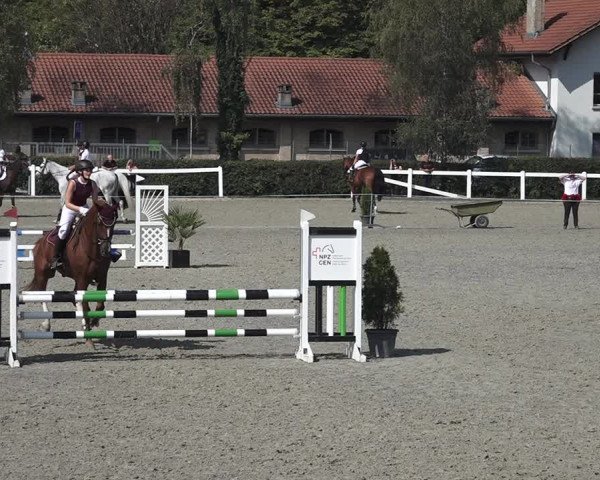 Reitturnier Bern 2020