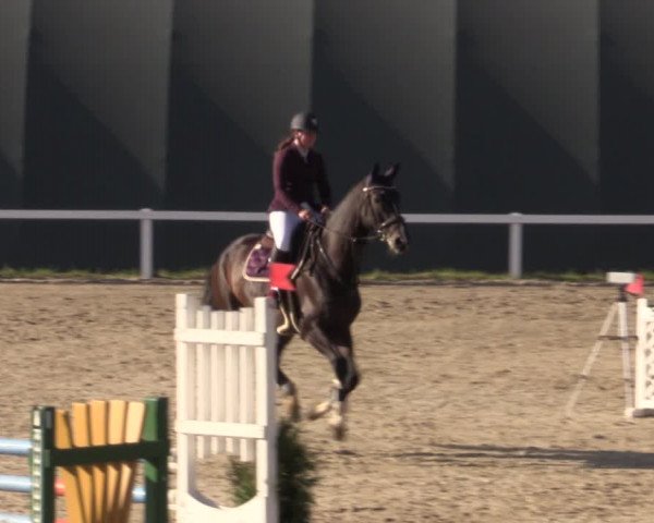 Reitturnier Bad Schmiedeberg 2020