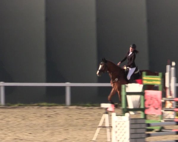 Reitturnier Bad Schmiedeberg 2020