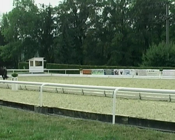 Reitturnier Eiken 2020