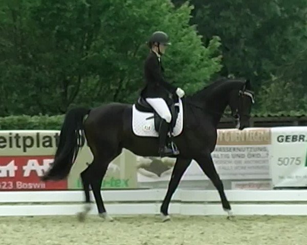 Reitturnier Eiken 2020