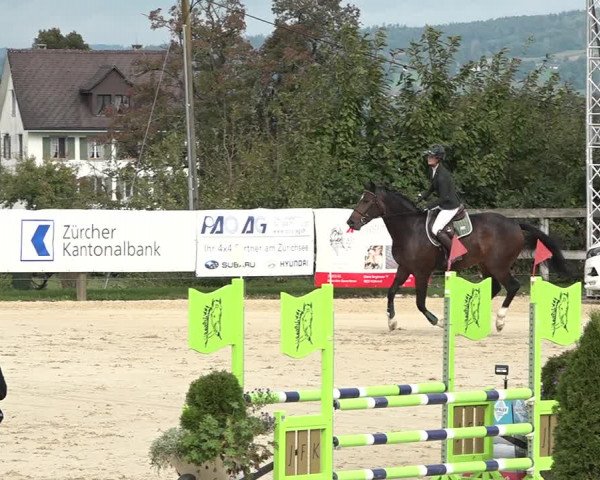Reitturnier Wädenswil 2020