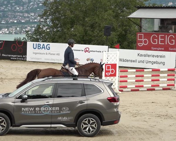 Reitturnier Wädenswil 2020