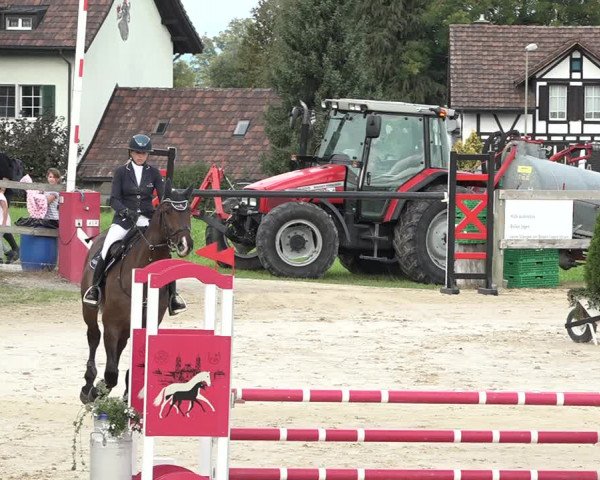 Reitturnier Wädenswil 2020