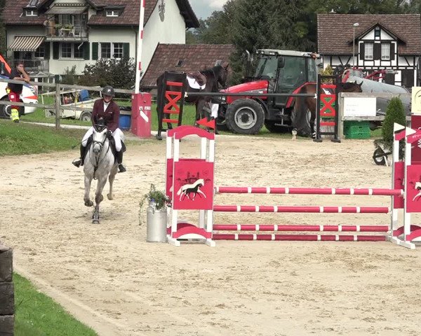 Reitturnier Wädenswil 2020