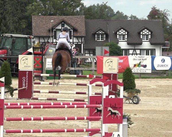 Reitturnier Wädenswil 2020