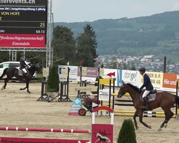 Reitturnier Wädenswil 2020