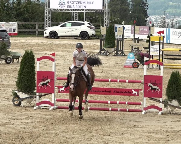 Reitturnier Wädenswil 2020