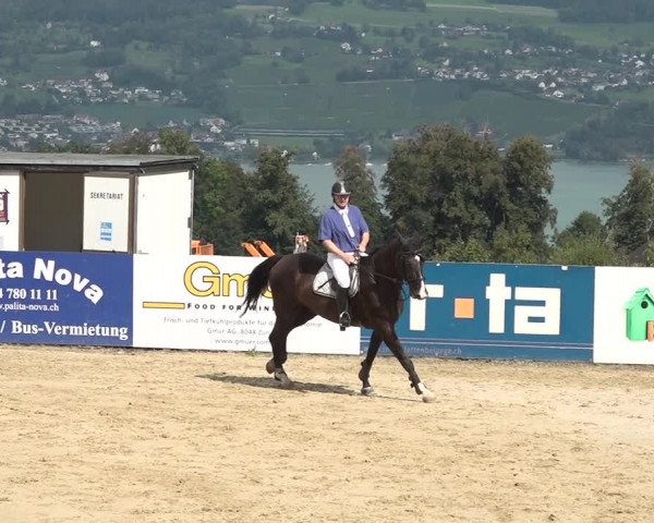 Reitturnier Wädenswil 2020