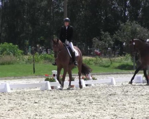 dressage horse Pia 818 (Westphalian, 2010, from Potential)