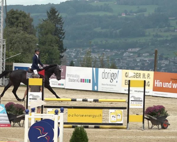 Reitturnier Wädenswil 2020