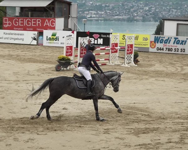 Reitturnier Wädenswil 2020
