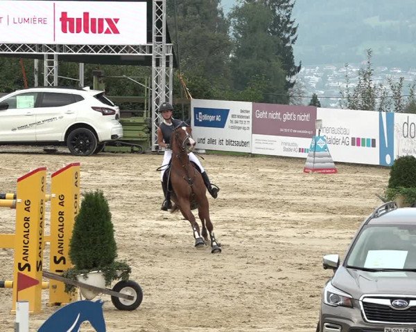 Reitturnier Wädenswil 2020