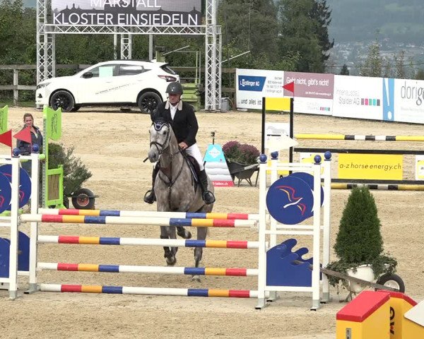 Reitturnier Wädenswil 2020
