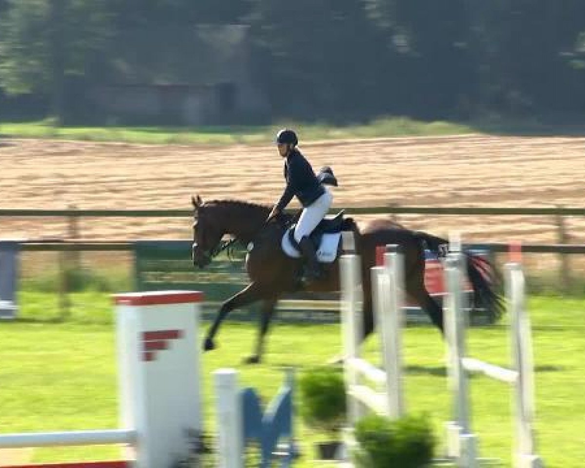 jumper Dark Temptation 3 (Oldenburg, 2009, from Darc Rouge)
