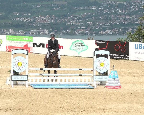 Reitturnier Wädenswil 2020